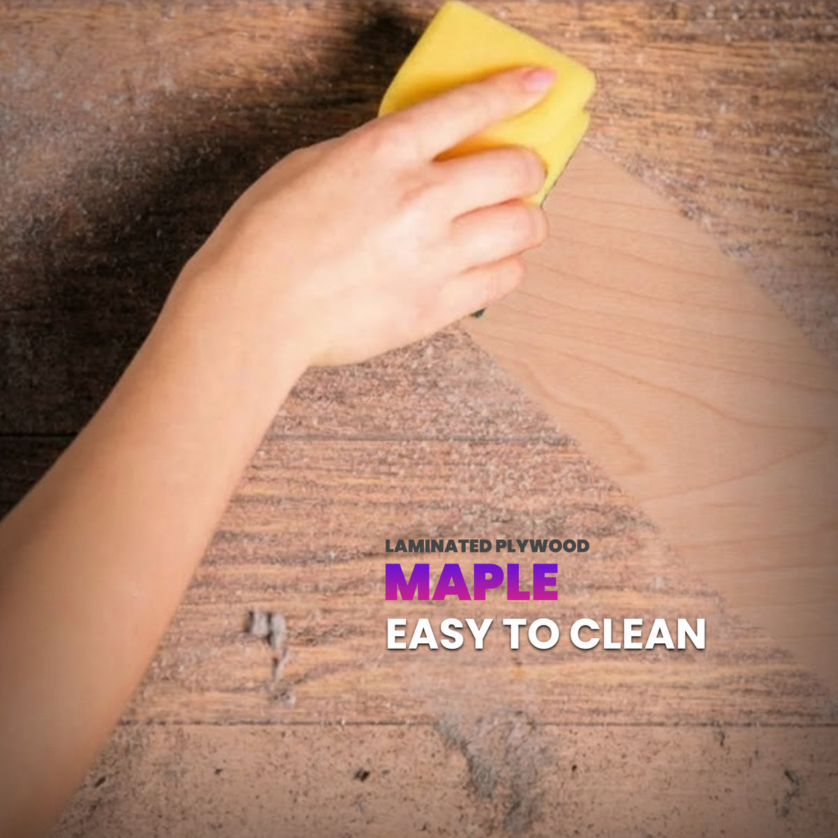 Maple Laminated Plywood