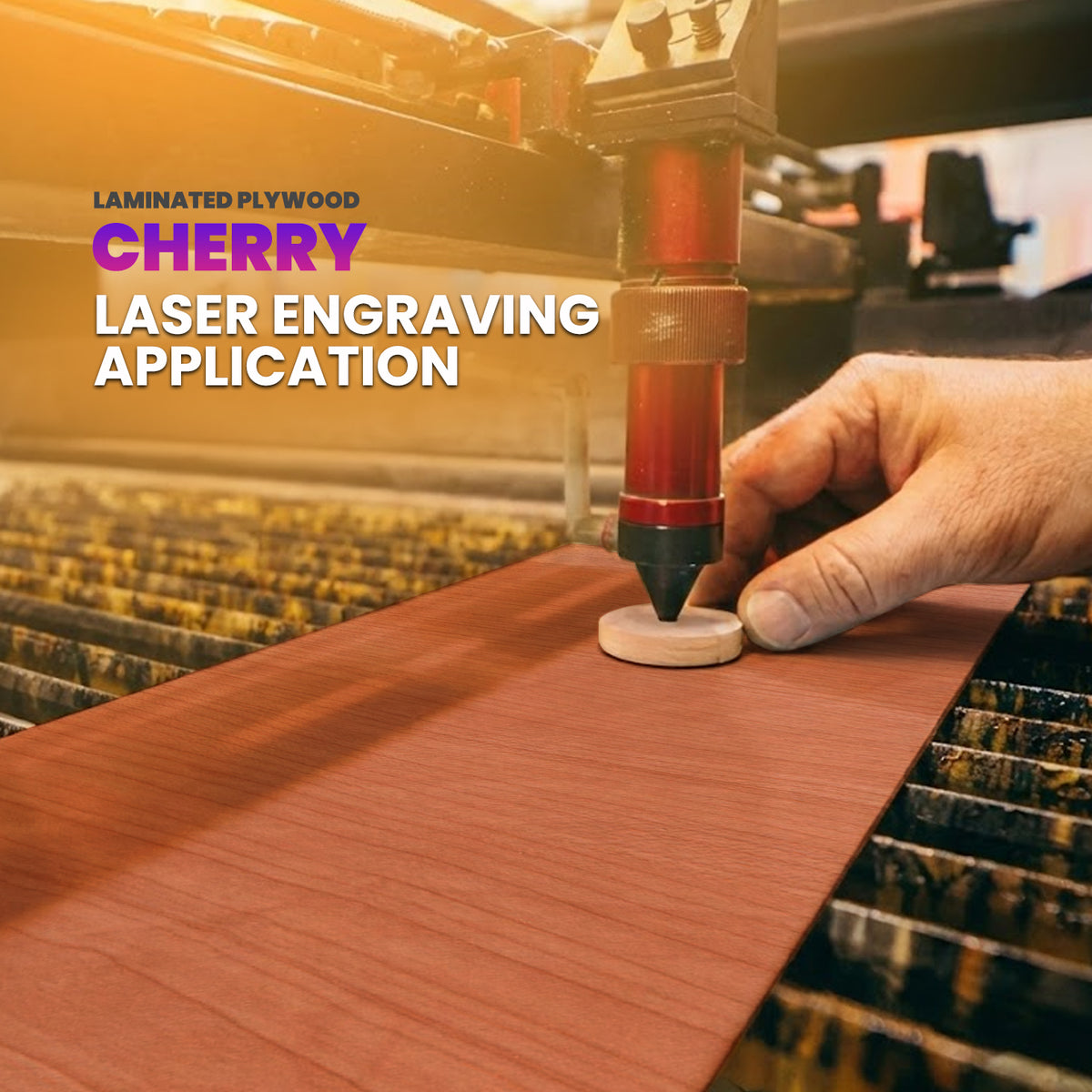 Cherry Laminated Plywood