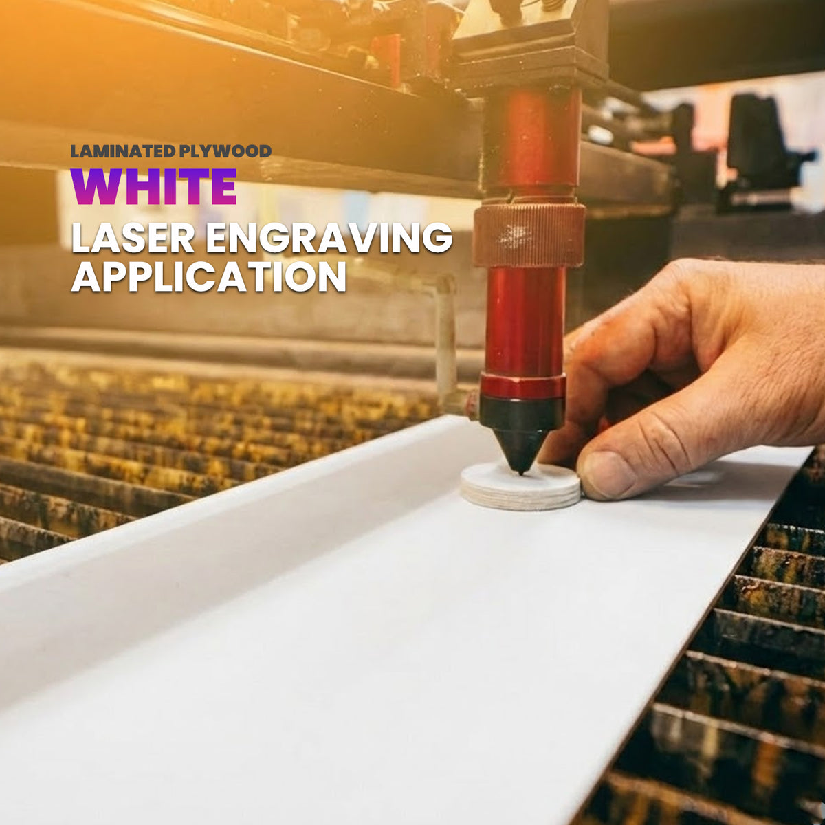 White Laminated Plywood