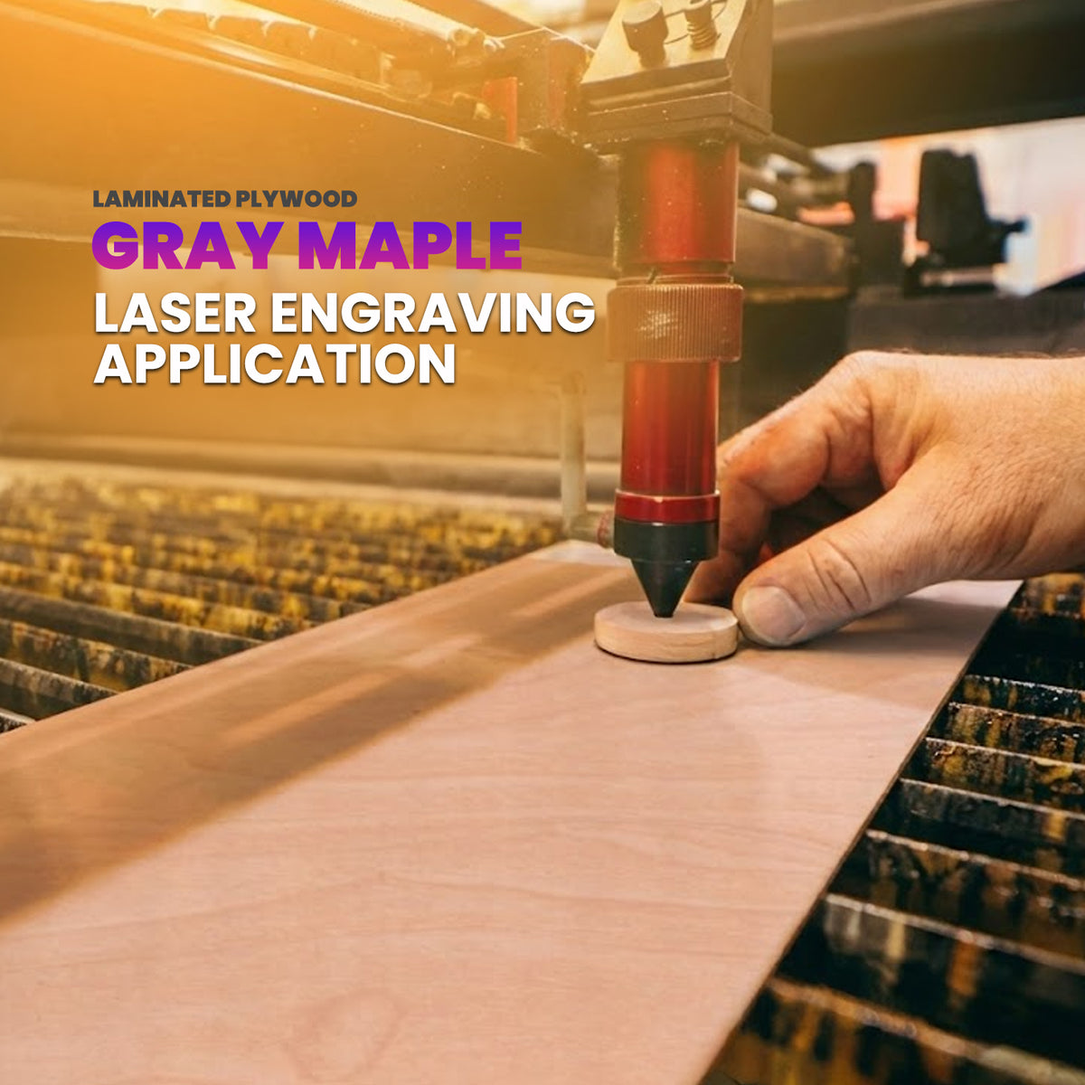 Gray Maple Laminated Plywood