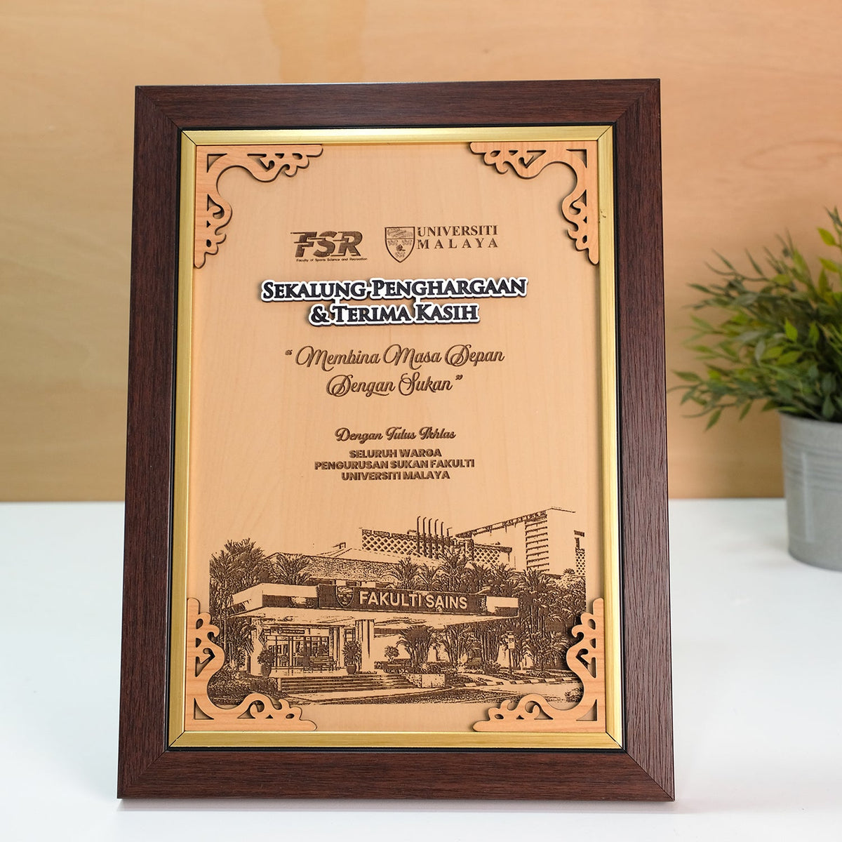 Framed academic award or certificate on a white surface with a plant in the background